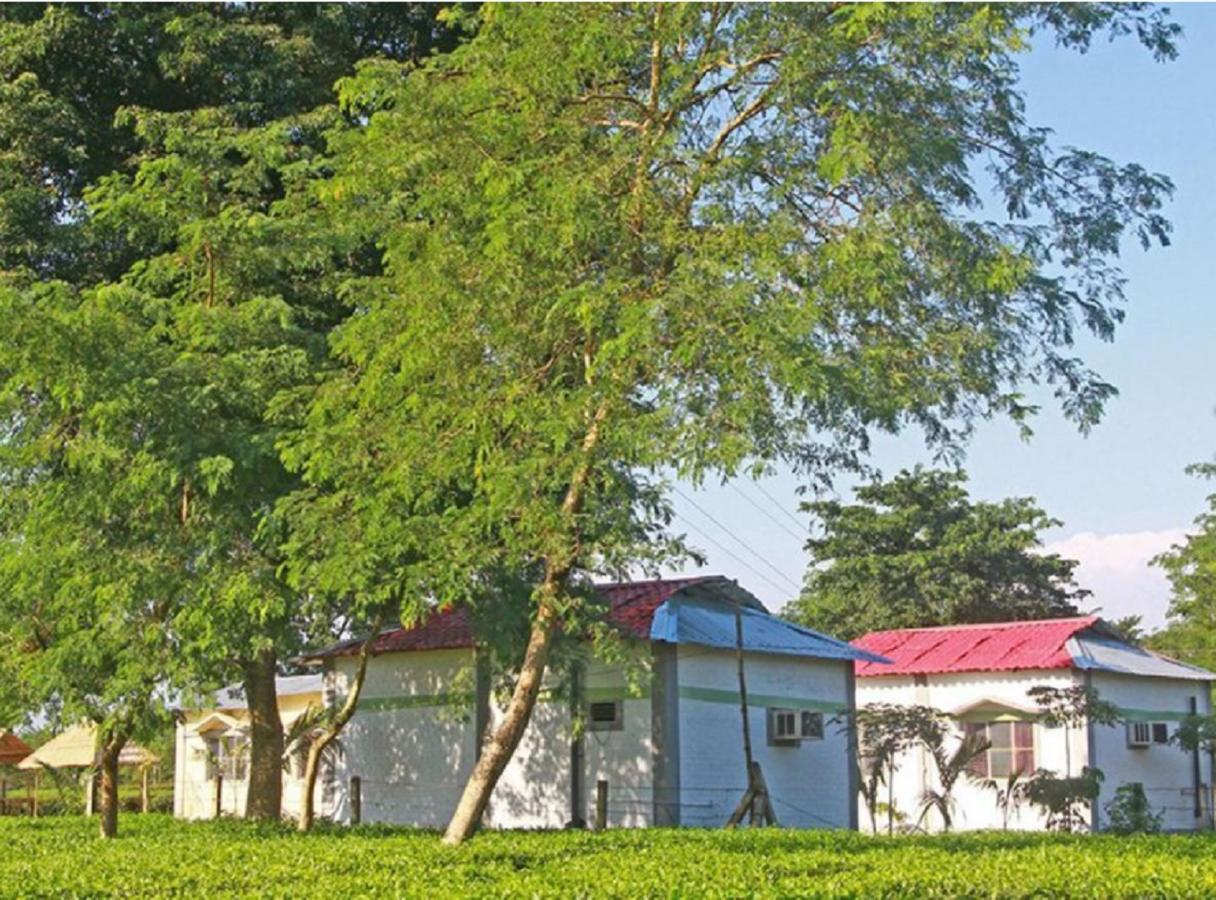 The Mystic Forest - A Tea Garden Resort At Dooars Madari Hat Dış mekan fotoğraf