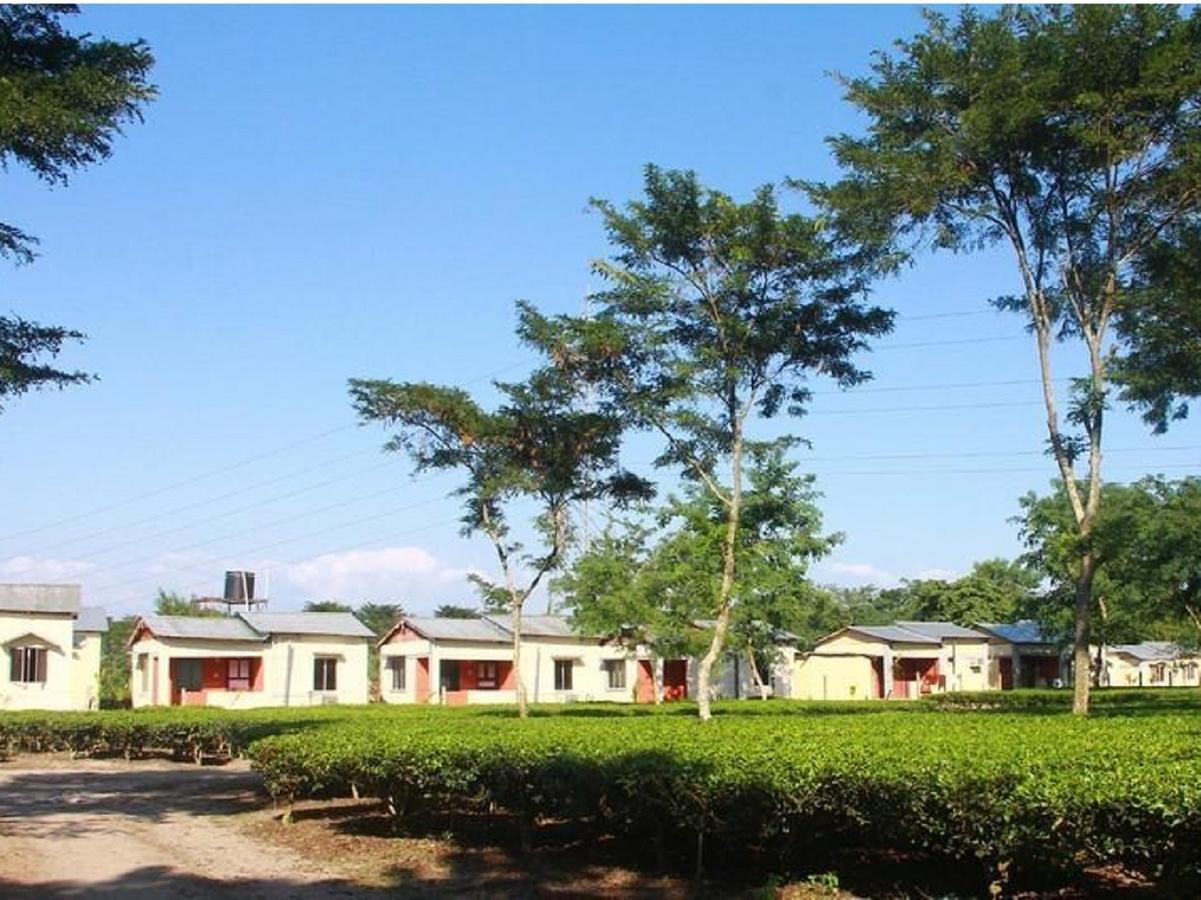 The Mystic Forest - A Tea Garden Resort At Dooars Madari Hat Dış mekan fotoğraf
